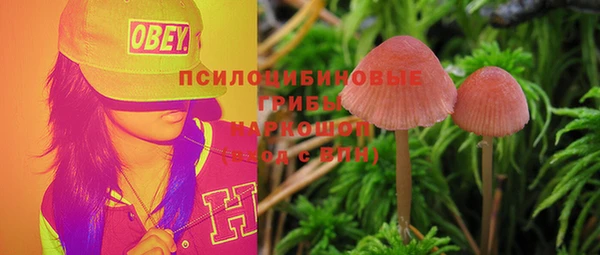 первитин Арсеньев